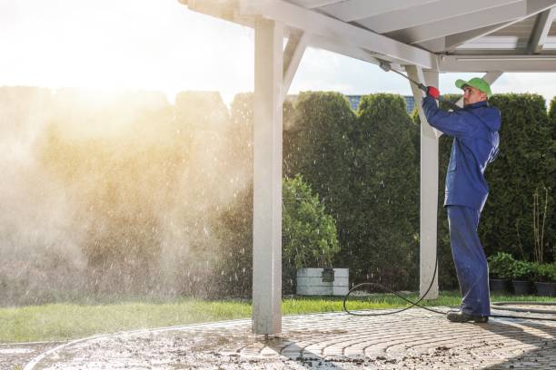 Best Fence Cleaning  in Wallis, TX