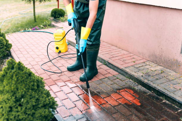 Best Building Exterior Washing  in Wallis, TX